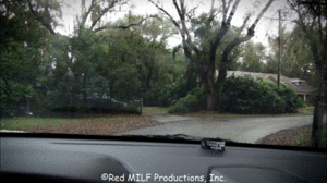www.rachel-steele.com - DID1372*- A Stranger Amids thumbnail